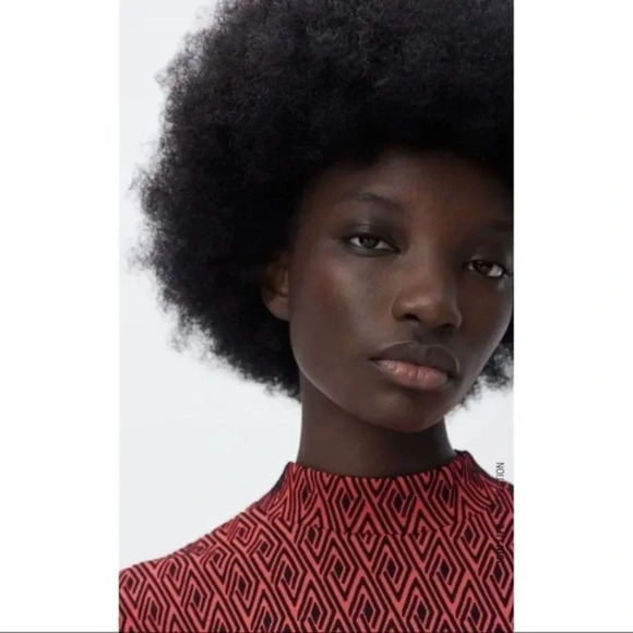 ZARA Jacquard Mock Neck Long Sleeve Dress - Picture 5 of 12